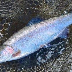 大物狙いでエキスパートエリア ～平谷湖フィッシングスポット～